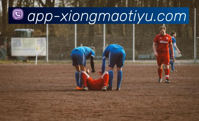 熊猫体育平台生态图